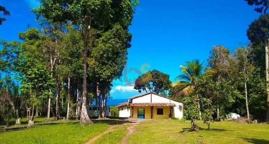 Fazenda/Sítio com 4 Quartos à venda, 40000m² no , Uruçuca