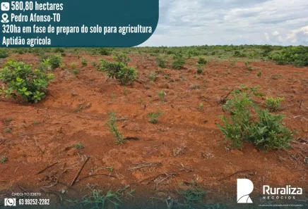 Fazenda/Sítio à venda, 580m² no , Pedro Afonso