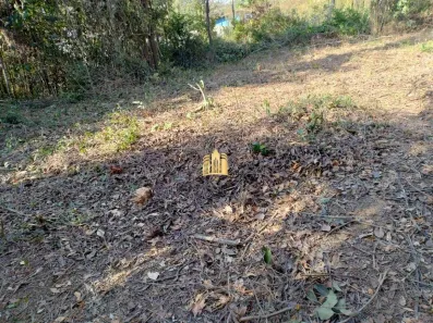 Lote/Terreno à venda, 2500m² no Vila Ipê Amarelo, Contagem