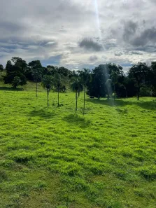 Fazenda/Sítio com 2 Quartos à venda, 2420000m² no ,