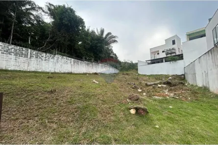 Lote/Terreno à venda, 427m² no Ponta Negra, Manaus