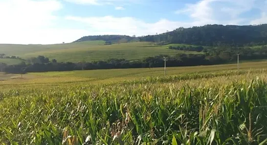 Fazenda/Sítio à venda, 484000m² no São Miguel do Cambui, Marialva