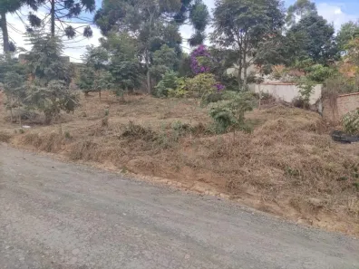 Lote/Terreno à venda, 542m² no Laranjeiras de Caldas, Caldas