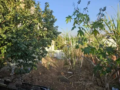 Lote/Terreno à venda, 313m² no Jardim Santana, Campinas
