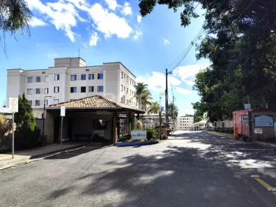 Apartamento com 2 Quartos para alugar, 45m² no Jardim Jockey Clube, São Carlos