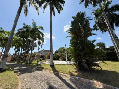 Lote/Terreno à venda, 2000m² no Levilândia, Ananindeua