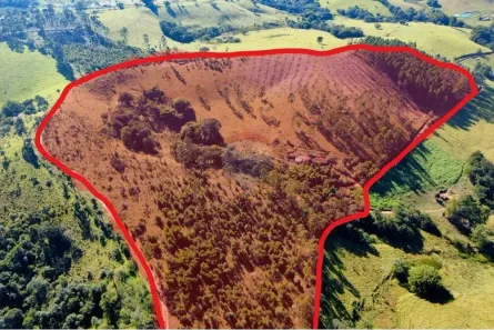 Fazenda/Sítio com 2 Quartos à venda, 91m² no , Socorro