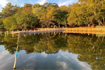 Lote/Terreno à venda, 268m² no , Castilho