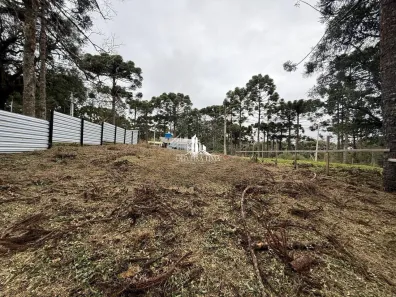 Lote/Terreno à venda, 500m² no , Campina Grande do Sul