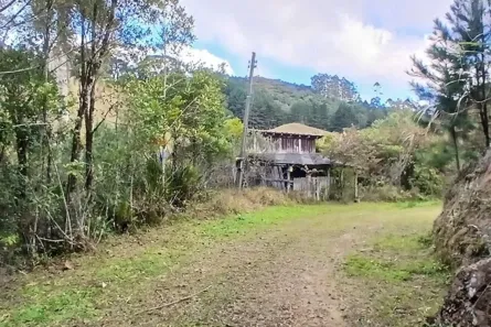 Fazenda/Sítio à venda, 880m² no , São Pedro de Alcântara