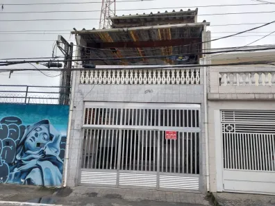 Casa com 2 Quartos para alugar, 40m² no Vila Constança, São Paulo