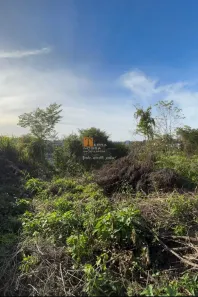Lote/Terreno à venda, 393m² no Salgado Filho, Caxias do Sul