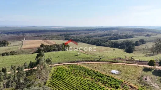 Fazenda/Sítio com 3 Quartos à venda, 700m² no Centro, São Miguel Arcanjo