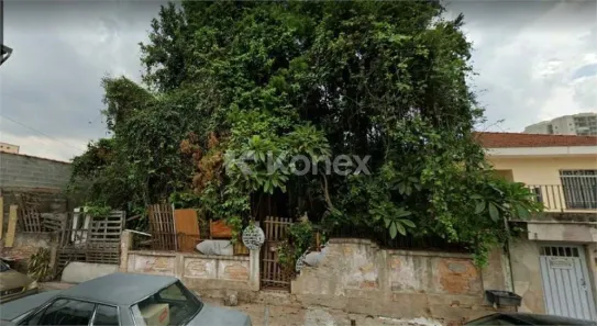 Lote/Terreno com 1 Quarto à venda, 650m² no Chora Menino, São Paulo