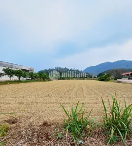 Lote/Terreno à venda, 5580m² no Aimoré, Guabiruba