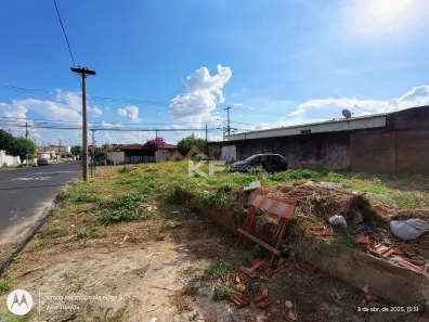 Lote/Terreno à venda, 319m² no Sumarezinho, Ribeirão Preto