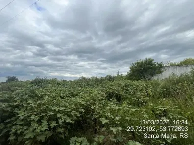Lote/Terreno à venda, 3500m² no Diácono João Luiz Pozzobon, Santa Maria