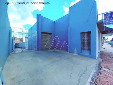 Casa com 3 Quartos para alugar, 160m² no Centro, Marília
