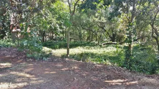 Lote/Terreno à venda, 2846m² no Jardim Mediterrâneo, Cotia