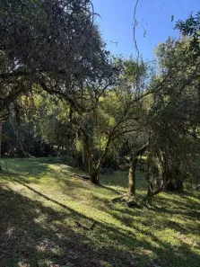 Lote/Terreno à venda, 5324m² no Fiuza, Viamão