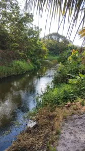 Fazenda/Sítio à venda, 10000m² no Povoado Punau, Rio do Fogo