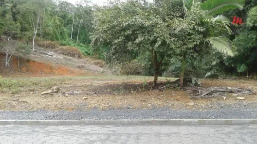 Lote/Terreno à venda, 3324m² no Badenfurt, Blumenau