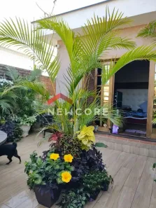 Sobrado com 3 Quartos à venda, 149m² no Cidade Patriarca, São Paulo