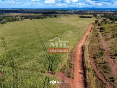 Fazenda/Sítio à venda, 500m² no , Miranorte