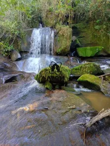 Fazenda/Sítio à venda, 169400m² no Área Rural de Paraibuna, Paraibuna