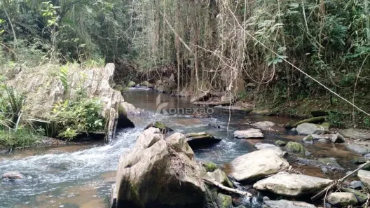 Fazenda/Sítio com 3 Quartos à venda, 500m² no , Paraibuna