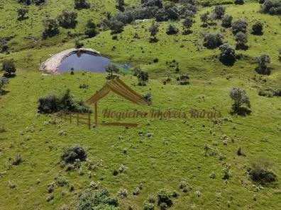 Fazenda/Sítio à venda, 338800m² no , Conchas