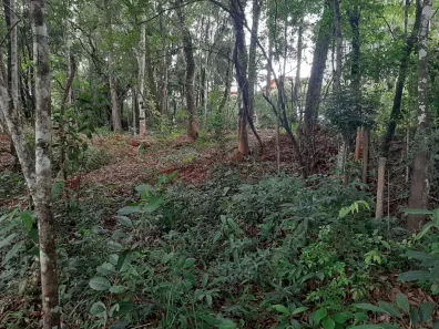 Lote/Terreno à venda, 1000m² no São Sebastião das Águas Claras, Nova Lima