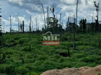 Fazenda/Sítio à venda, 500m² no São João do Acangata, Portel