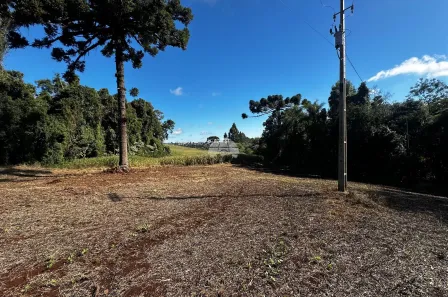 Lote/Terreno à venda, 28000m² no Área Rural de Pato Branco, Pato Branco