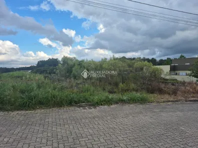 Lote/Terreno à venda, 319m² no São Caetano, Caxias do Sul