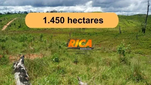 Fazenda/Sítio à venda, 14500000m² no Apuí, Apuí