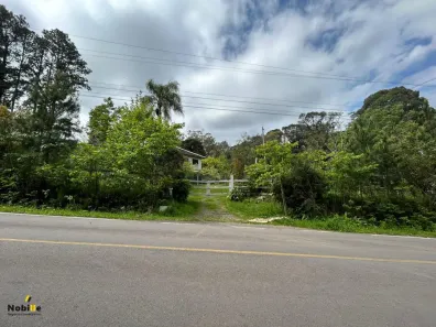 Fazenda/Sítio à venda, 20000m² no , Flores da Cunha