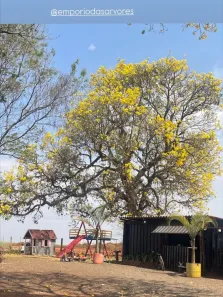 Fazenda/Sítio com 1 Quarto à venda, 500m² no Parque dos Pinheiros, Nova Odessa