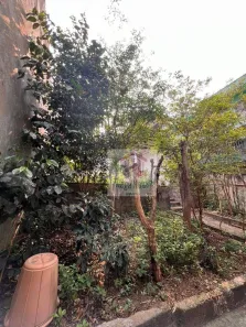 Casa com 2 Quartos à venda, 330m² no Vila Constança, São Paulo