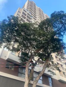 Apartamento com 1 Quarto para alugar, 23m² no Santo Amaro, São Paulo