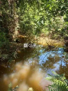 Fazenda/Sítio à venda, 5000m² no , Juramento