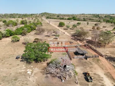 Fazenda/Sítio à venda, 1m² no Lua Nova, Matrinchã
