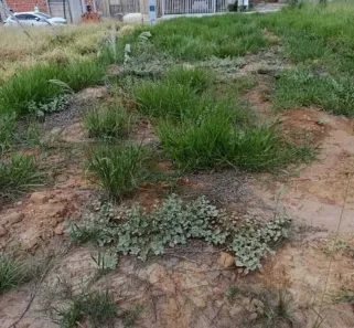 Lote/Terreno à venda, 180m² no Residencial Morro da Mata, Salto