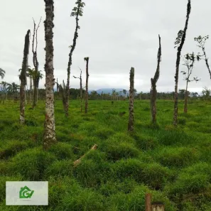 Lote/Terreno à venda, 30000m² no Travessão, Caraguatatuba
