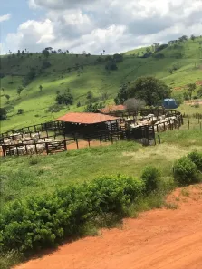 Fazenda/Sítio com 3 Quartos à venda, 3840000m² no , Jacutinga