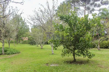 Lote/Terreno à venda, 39051m² no Vila Fuck, Piraquara