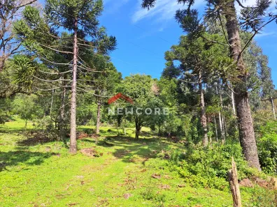 Fazenda/Sítio com 1 Quarto à venda, 40m² no Centro, São Francisco de Paula