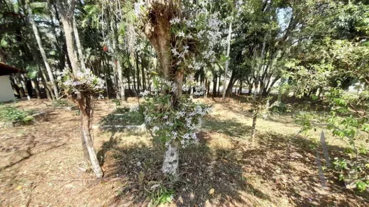 Lote/Terreno à venda, 3000m² no Portal do Éden, Itu