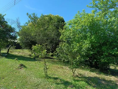 Lote/Terreno à venda, 439m² no Esperança, Picada Café