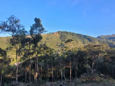 Casa de Condomínio com 5 Quartos à venda, 12000m² no Estância Serrana, Nova Lima